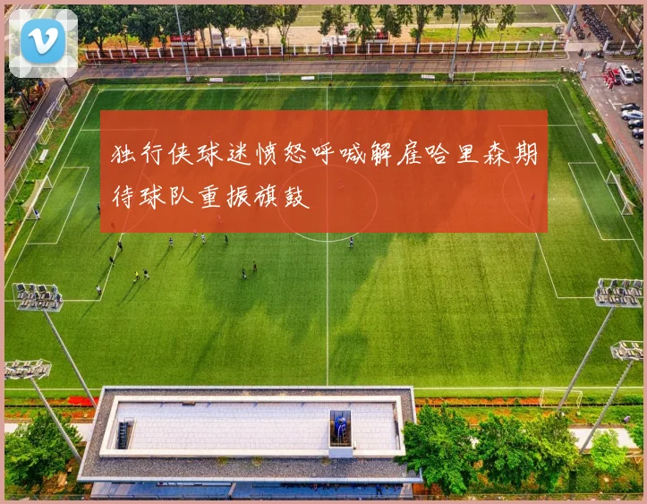 独行侠球迷愤怒呼喊解雇哈里森期待球队重振旗鼓