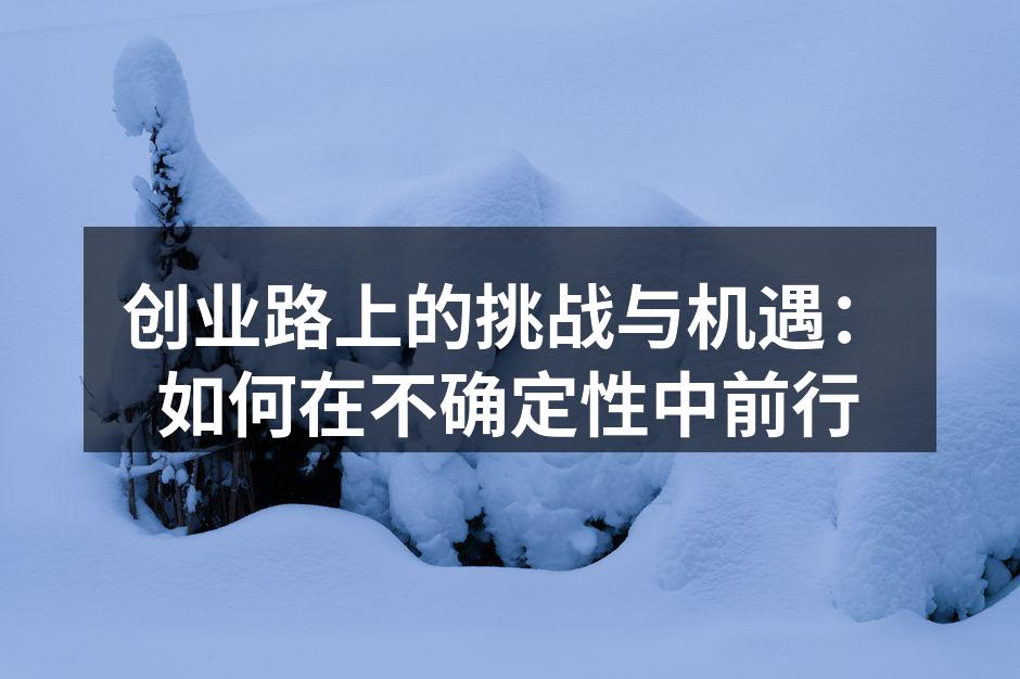 创业路上的挑战与机遇：如何在不确定性中前行